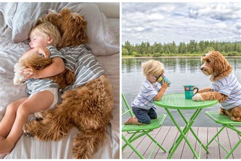 Vaiko ir šuns draugystė