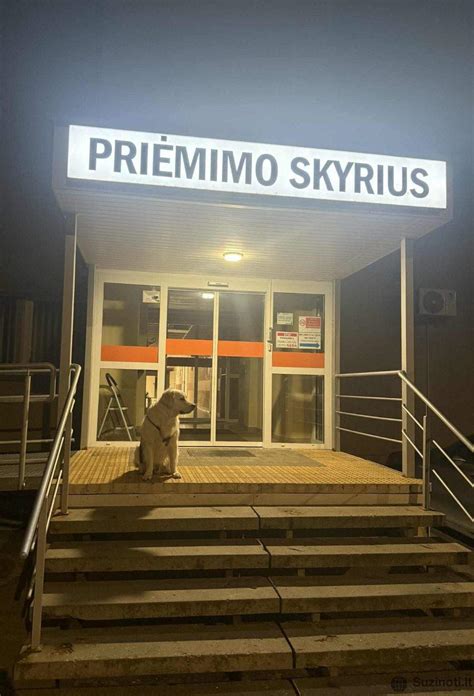Nuotrauka iš ligoninės palatos, kurioje yra didelis naujagimis
