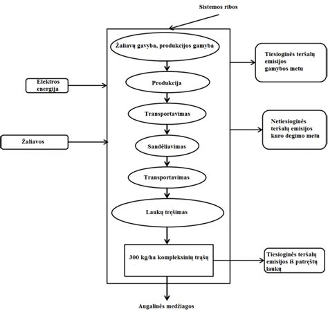 Moterų vaisingumo ciklo schema
