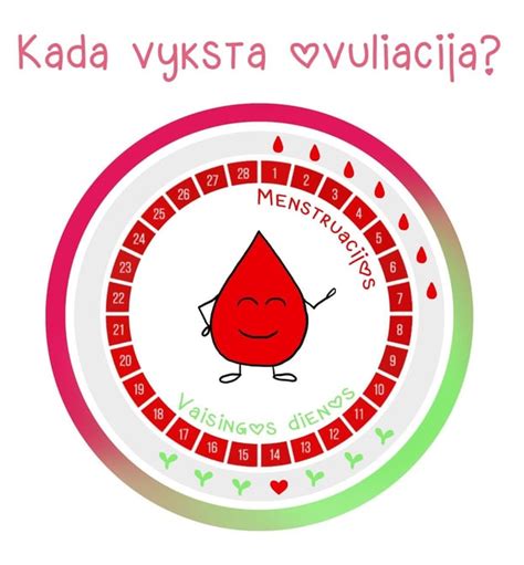 Vaisingų dienų stebėjimas
