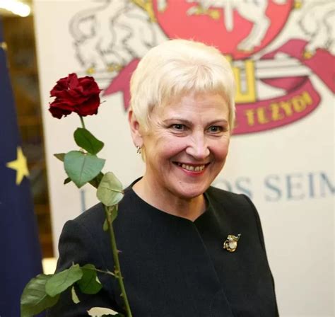 Irena Degutienė politinėje veikloje