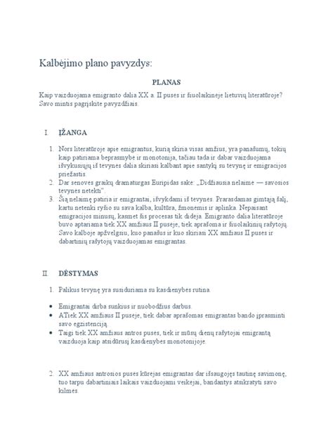 Individualaus socialinio darbo plano pavyzdys