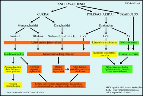 Schema: Restitucijos rūšys ir jų pritaikymo kriterijai