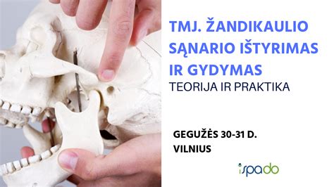 žandikaulio sąnario iliustracija