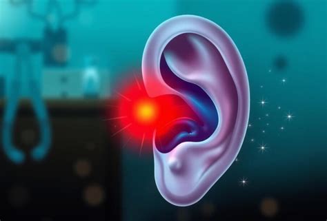 ausies anatomijos schema su uždegimo židiniais