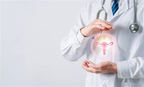 Moters reprodukcinės sistemos schema su kiaušidėmis, kiaušintakiais ir gimda