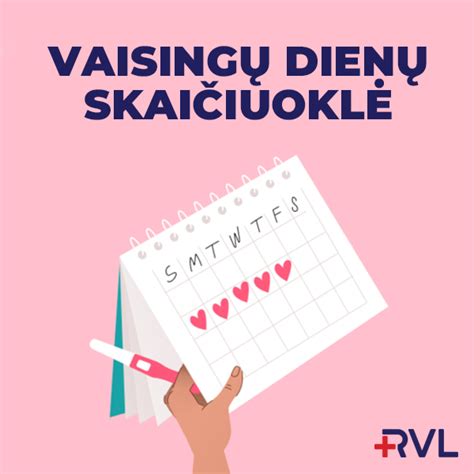 Ovuliacijos kalendoriaus pavyzdys, iliustruojantis vaisingiausias dienas