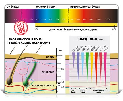 BIOPTRON šviesos spektro iliustracija (be UV spindulių)