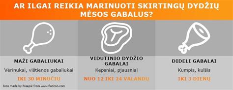 Mėsos rūšių palyginimo infografikas