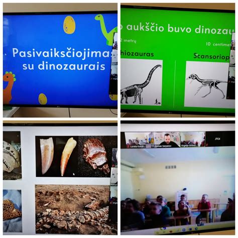 Moksleivių edukacinė veikla ir technologijų projektai