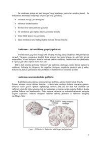 Vaizdinė informacija apie autizmo spektro sutrikimus