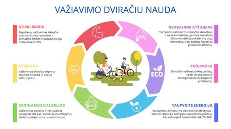 Dviračių tipų infografika