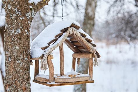 Vaikų kurtos paukščių lesyklėlės