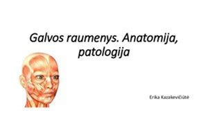 Kūdikio galvos anatomija su pavaizduota kefalohematoma