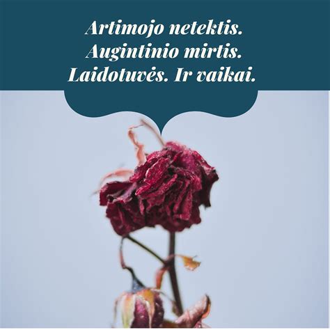 Vaikas dalyvauja laidotuvėse