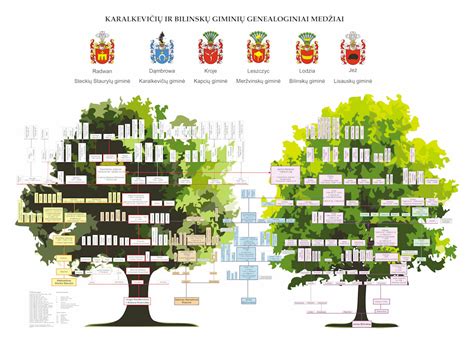 Įvairių formų giminės medžių pavyzdžiai