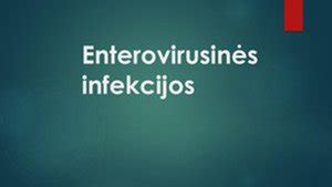 Enterovirusinės infekcijos schema