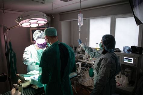 Kastracija - atsakingas sprendimas