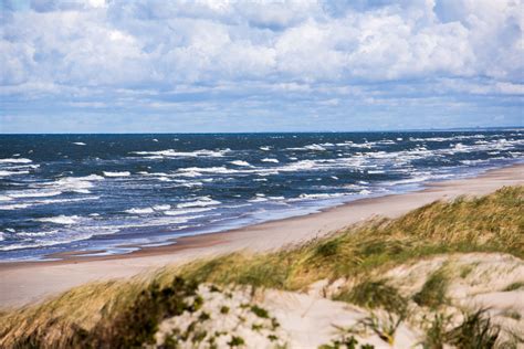 Baltijos jūros ekosistema ir tarša