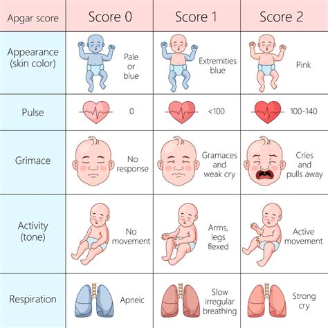 newborn baby assessment with Apgar score