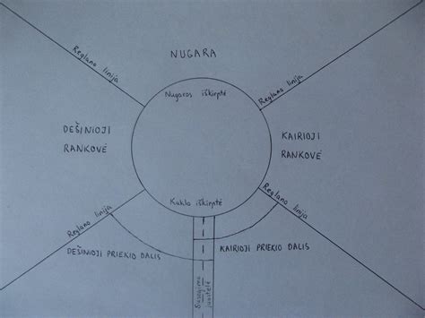 reglano linijų schema