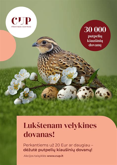 Putpelių kiaušinių vaizdas