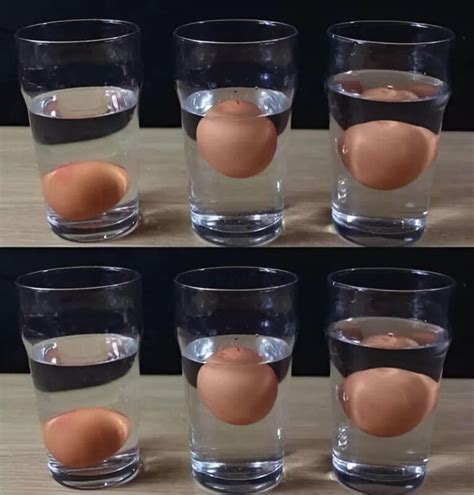 vandens testas kiaušinio šviežumui patikrinti