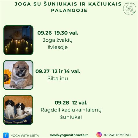 Savanoriai rūpinasi beglobiais šuniukais ir katytėmis