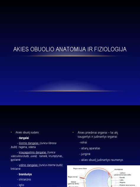 kūdikio akies anatomija ir ašarų nutekėjimo sistema