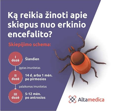 Vėjaraupių viruso plitimo schema