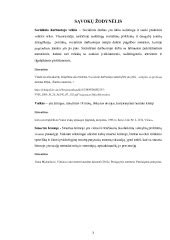socialinio darbuotojo veikla su vaikais