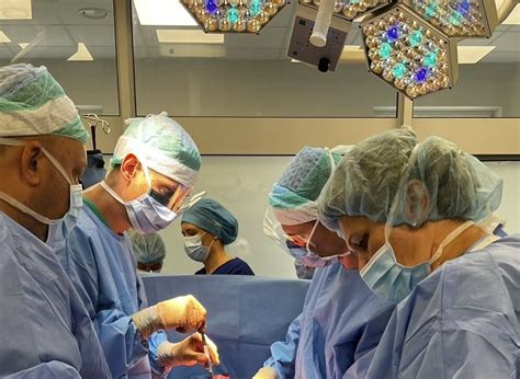 kepenų transplantacijos vizualizacija