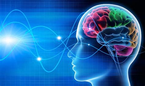 infografika: kaip veikia smegenys epilepsijos priepuolio metu