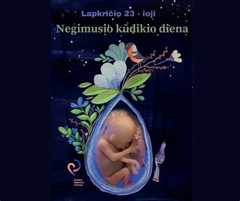 Nėštumo nutraukimo procedūrų iliustracija