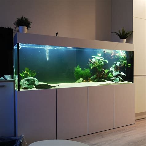 Akvariumo priežiūros svarba