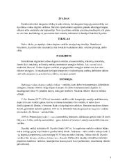 Nėštumo testo veikimo principas ir pagrindinės sudedamosios dalys