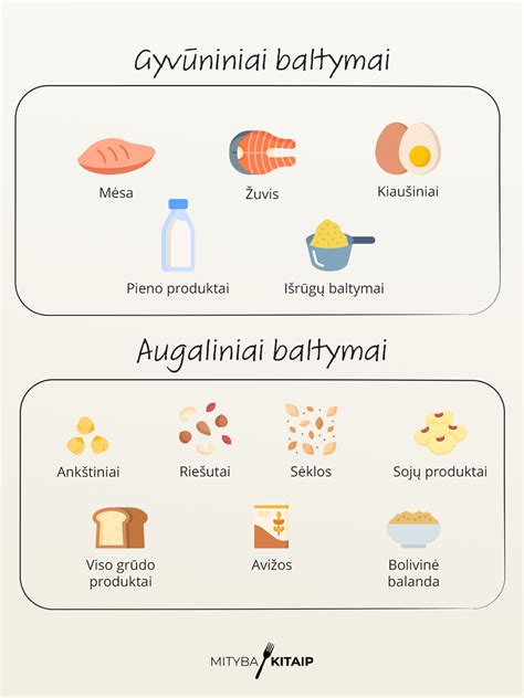 Baltymų poreikio kitimas nėštumo trimestrais
